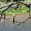 A day on the South Platte
