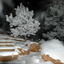 http://outtherecolorado.s3.amazonaws.com/images/groupphotos/77/46/thumb_701a9a9fc74e417cf48b76f5.jpg