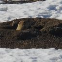 Cheyenne Mountain State Park Jan 2012