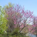Pueblo Greenway