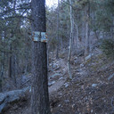 DSCN3729