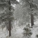 Homestead in the Snow