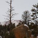 Down the Incline, 12 Feb 2012