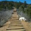 ROCKY @ the Incline