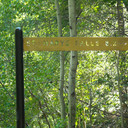 ST. Mary's falls 10