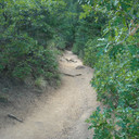 Barr Trail 5