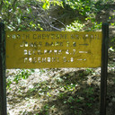Now 7 bridge's trail