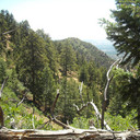 Palmer Red Rock 10