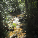 7 Bridges