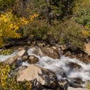 Colorado Fall