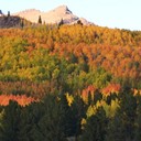 Bill Carberry's Photos