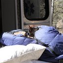 Missing hiker found