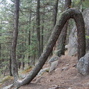 OutThereColorado.com hike, June 9: Felton Thomas Trail