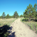 OutThereColorado.com Thursday Hike: Black Forest Section 16 Trail